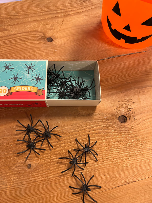 Edderkopper i æske / Box of creepy Spiders